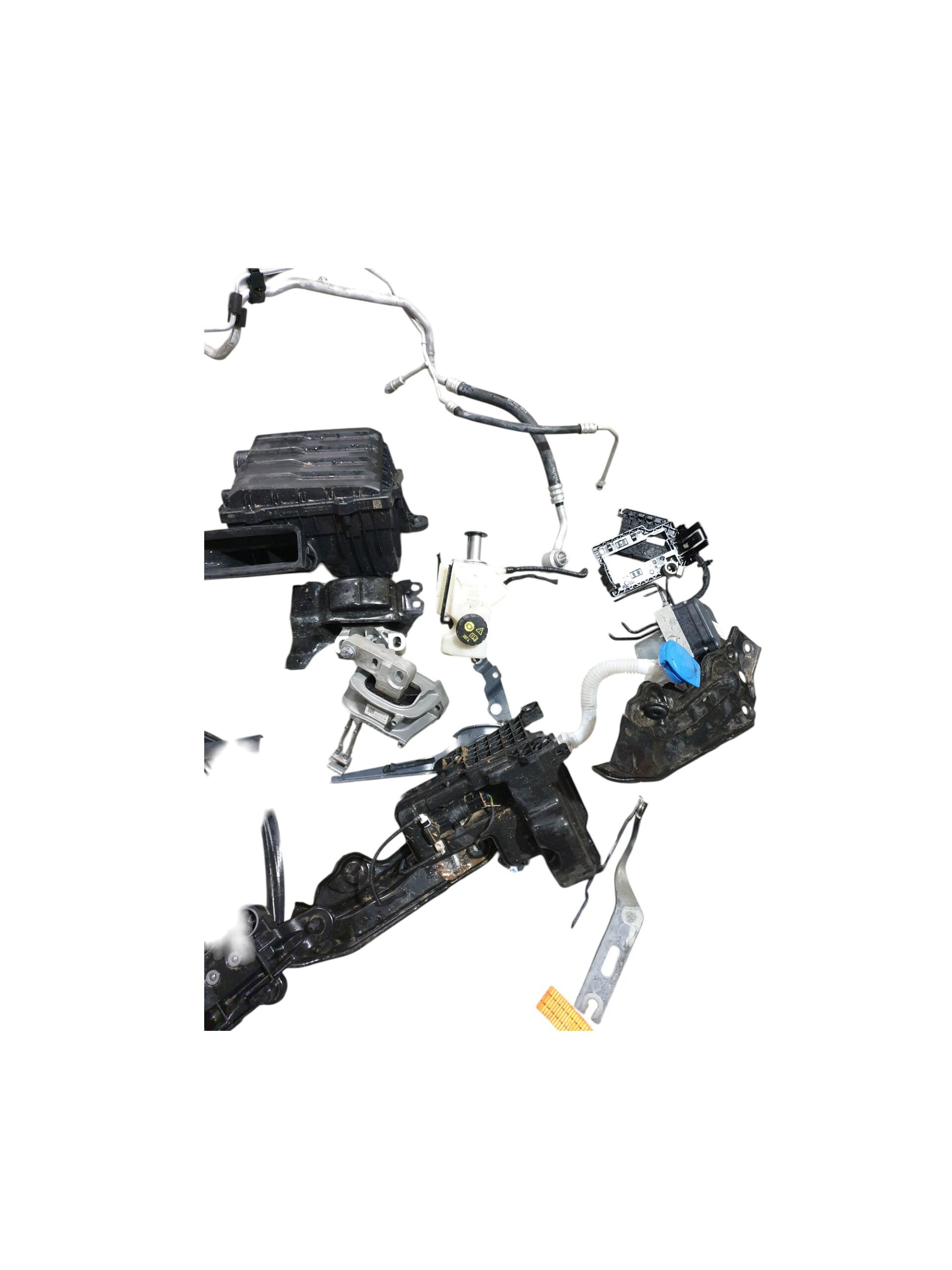 plastiche ecc mus polo 7 (1) plastiche ecc mus polo 7 (1)