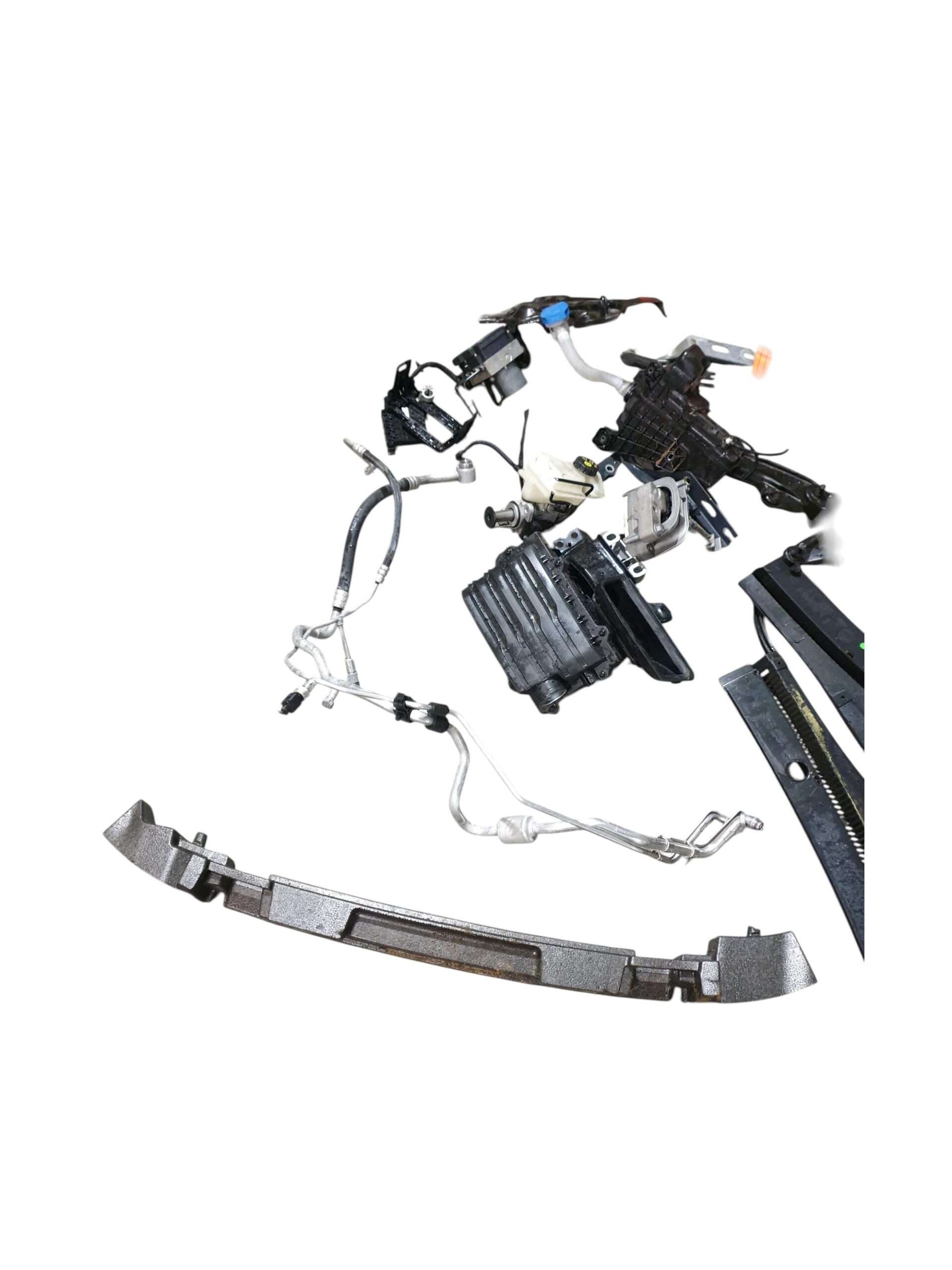 plastiche ecc mus polo 7 (2) plastiche ecc mus polo 7 (2)