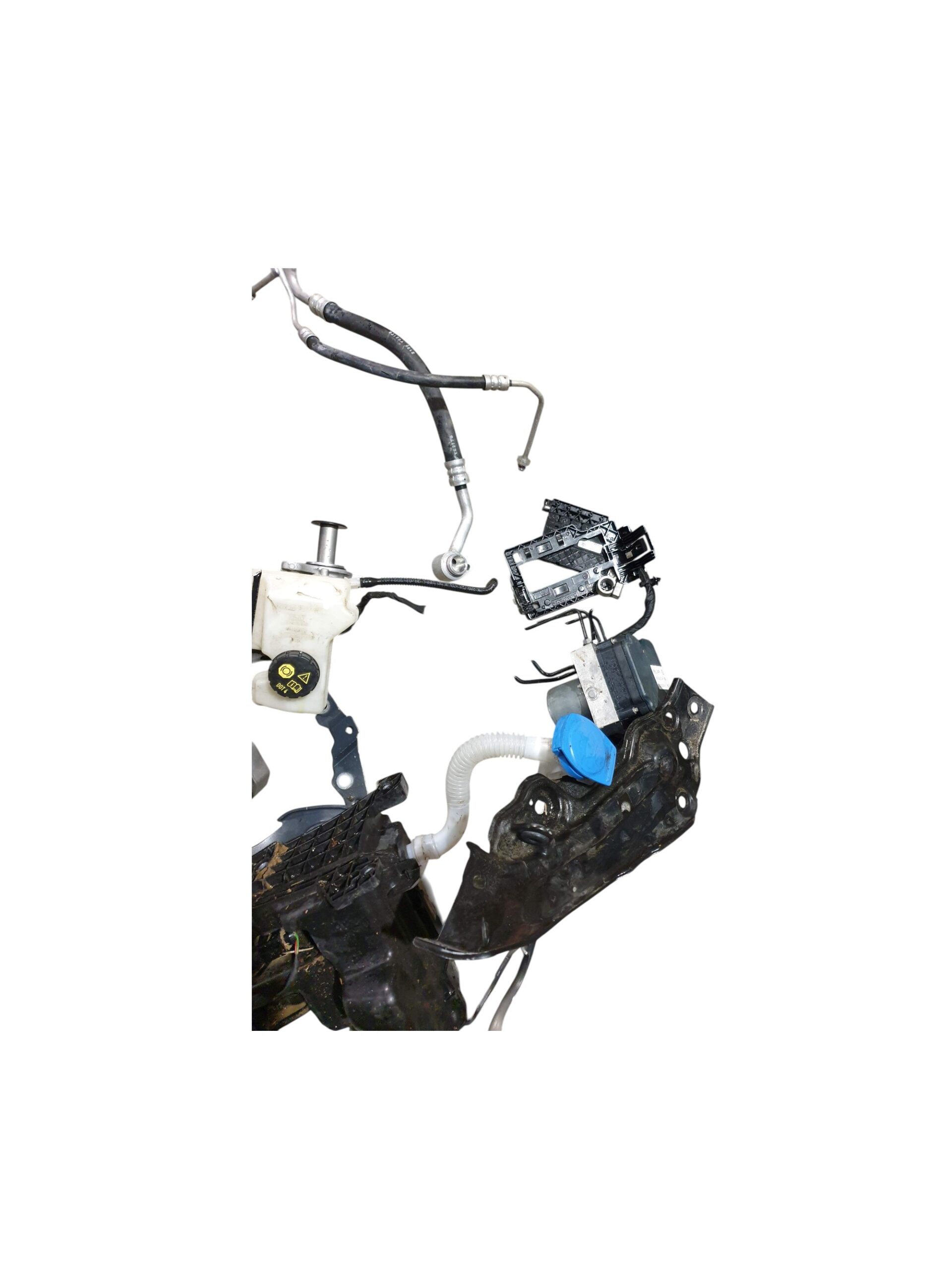 plastiche ecc mus polo 7 plastiche ecc mus polo 7