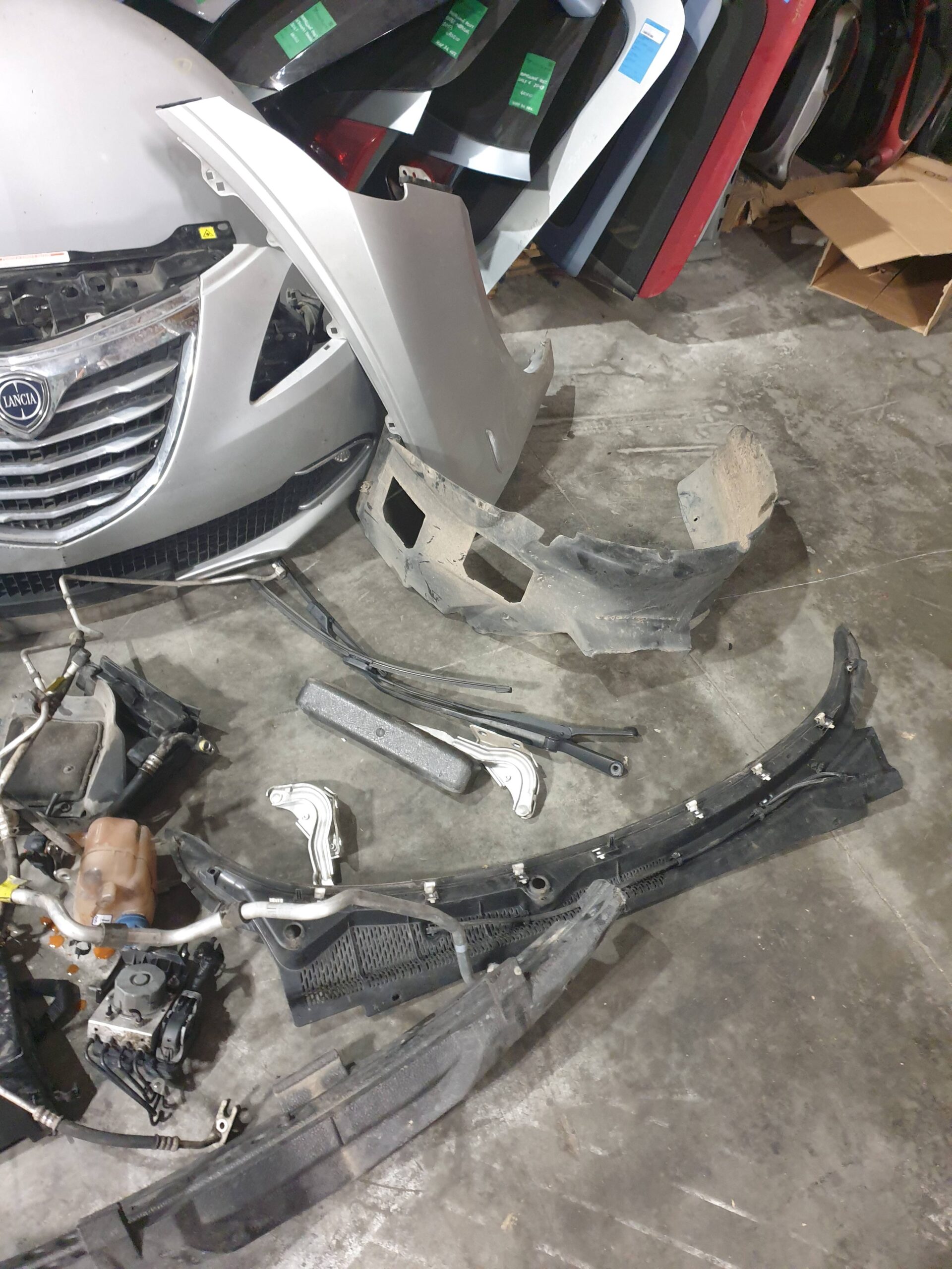 20260116_174118 20260116_174118