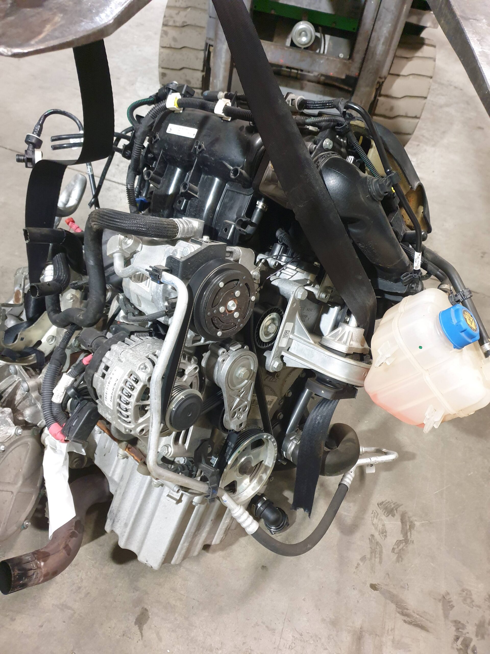 20260303_183801 20260303_183801