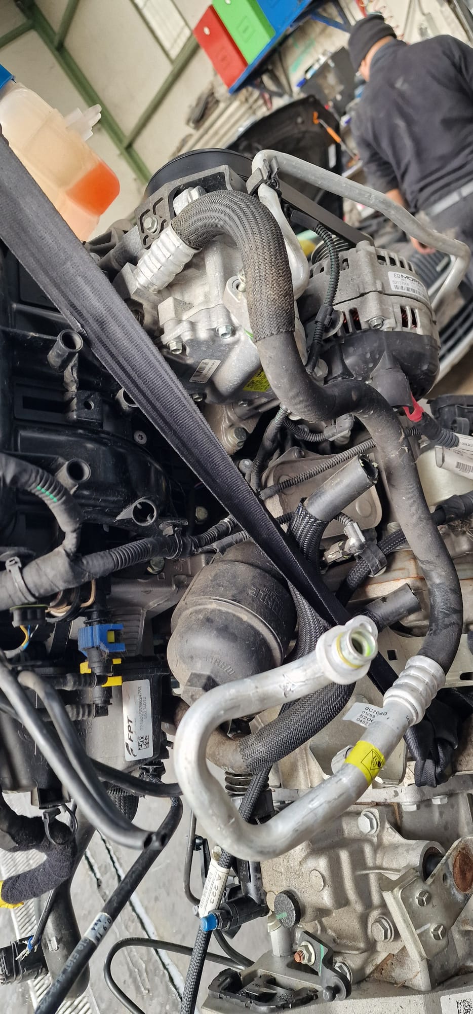 IMG-20260305-WA0006 IMG-20260305-WA0006